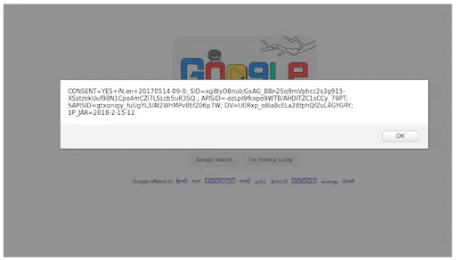 Cross Site Scripting Attack (XSS)