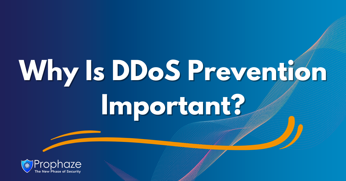 Why Is DDoS Prevention Important?