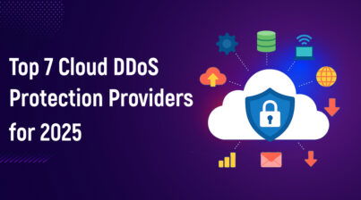 Top 7 Cloud DDoS Protection Providers for 2025